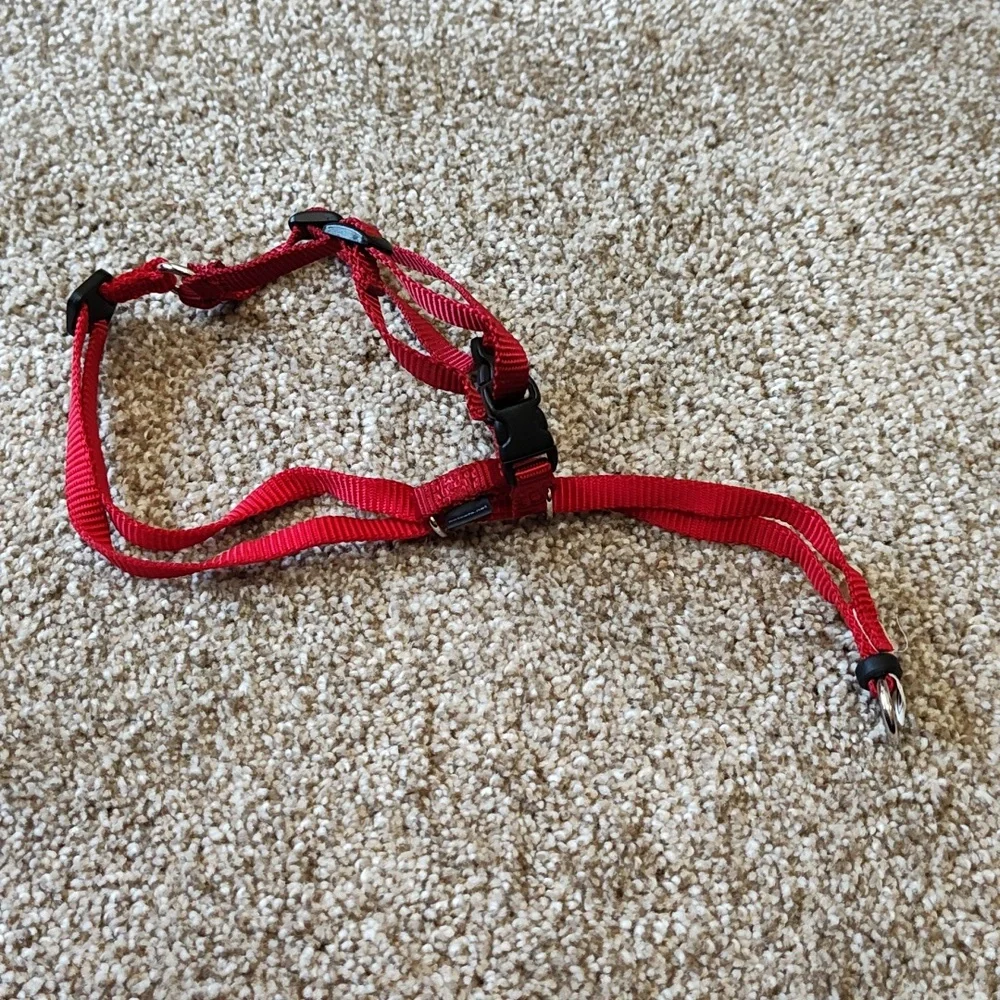 Cat Harness and Leash